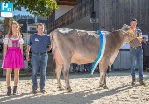 Champion BS Biver NOEMI Hubert Mller